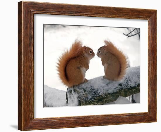 Nose To Nose-Andre Villeneuve-Framed Photographic Print