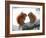 Nose To Nose-Andre Villeneuve-Framed Photographic Print