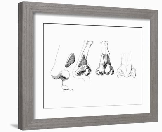 Noses-Mehau Kulyk-Framed Photographic Print