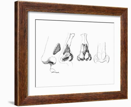 Noses-Mehau Kulyk-Framed Photographic Print