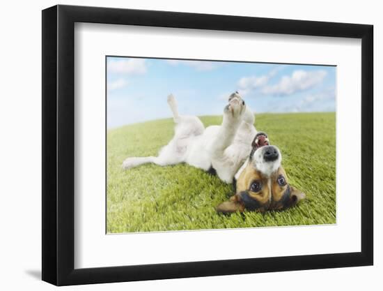 Photographic Print, , large