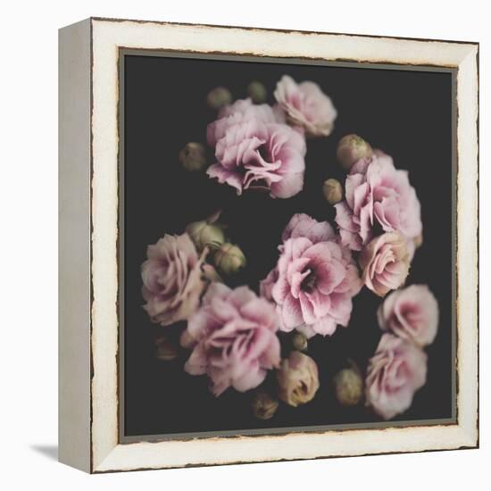 Nostalgia Bouquet-Philippe Sainte-Laudy-Framed Stretched Canvas