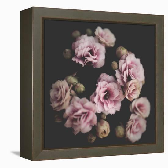 Nostalgia Bouquet-Philippe Sainte-Laudy-Framed Stretched Canvas