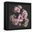 Nostalgia Bouquet-Philippe Sainte-Laudy-Framed Stretched Canvas