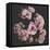 Nostalgia Bouquet-Philippe Sainte-Laudy-Framed Stretched Canvas