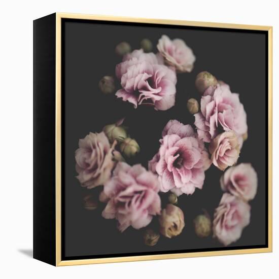 Nostalgia Bouquet-Philippe Sainte-Laudy-Framed Stretched Canvas