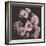 Nostalgia Bouquet-Philippe Sainte-Laudy-Framed Photographic Print