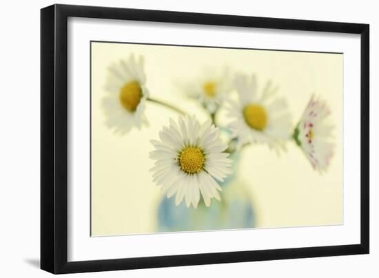 Nostalgic Daisies  Still Life-Cora Niele-Framed Giclee Print