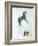 Not a White Horse-George Adamson-Framed Giclee Print