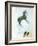 Not a White Horse-George Adamson-Framed Giclee Print