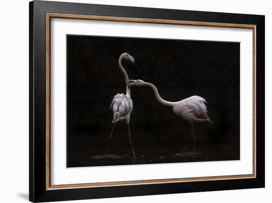 Not All Is Rosy-Martine Benezech-Framed Giclee Print