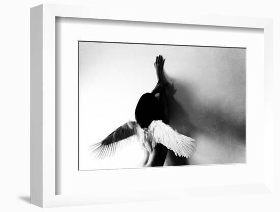 Not Fly-Keisuke Ikeda @-Framed Photographic Print