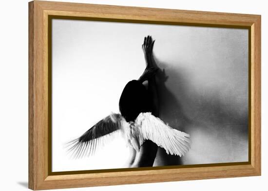 Not Fly-Keisuke Ikeda @-Framed Premier Image Canvas