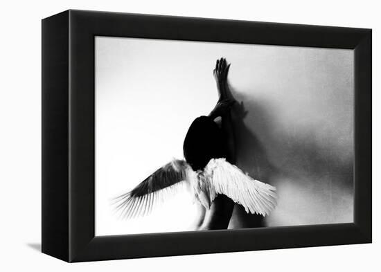 Not Fly-Keisuke Ikeda @-Framed Premier Image Canvas