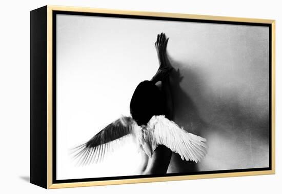 Not Fly-Keisuke Ikeda @-Framed Premier Image Canvas