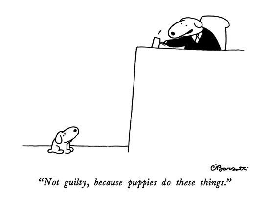 Not Guilty Because Puppies Do These Things New Yorker Cartoon Premium Giclee Print Charles Barsotti Art Com