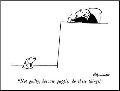 Not Guilty Because Puppies Do These Things New Yorker Cartoon Premium Giclee Print Charles Barsotti Art Com