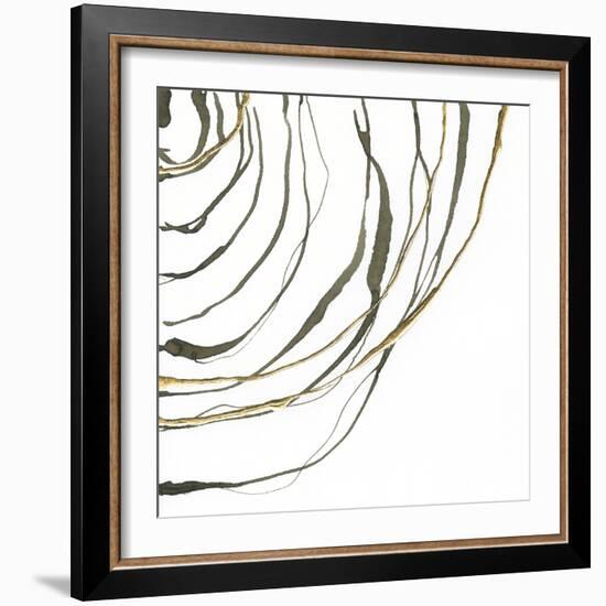 Not Quite Concentric IV-Chris Paschke-Framed Art Print