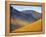 Not Rigg and Crag Hill, Newlands Valley, Lake District, Cumbria, England, UK-Neale Clarke-Framed Premier Image Canvas