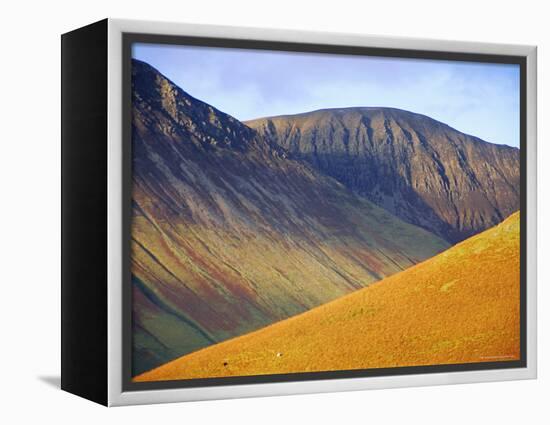 Not Rigg and Crag Hill, Newlands Valley, Lake District, Cumbria, England, UK-Neale Clarke-Framed Premier Image Canvas