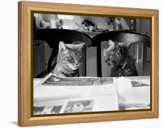 Not While I’m Reading-Kim Levin-Framed Premier Image Canvas