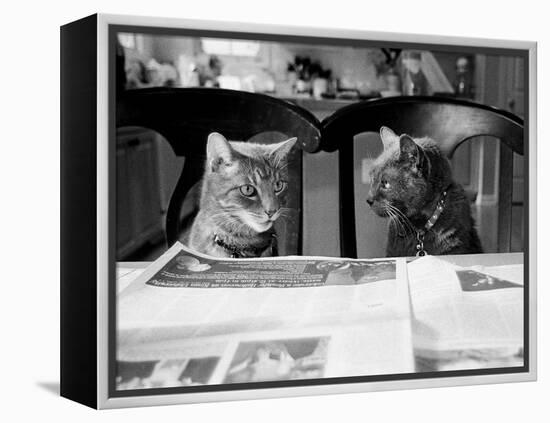 Not While I’m Reading-Kim Levin-Framed Premier Image Canvas