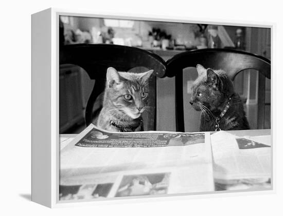 Not While I’m Reading-Kim Levin-Framed Premier Image Canvas