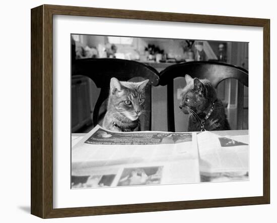 Not While I’m Reading-Kim Levin-Framed Photographic Print