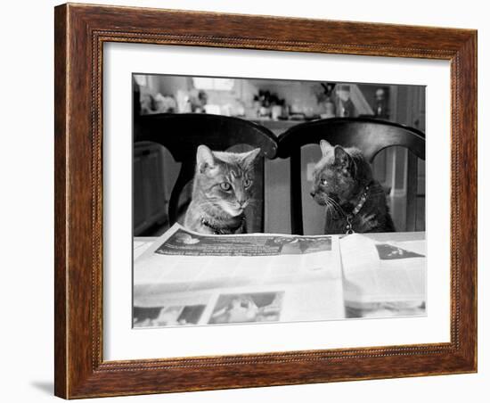 Not While I’m Reading-Kim Levin-Framed Photographic Print