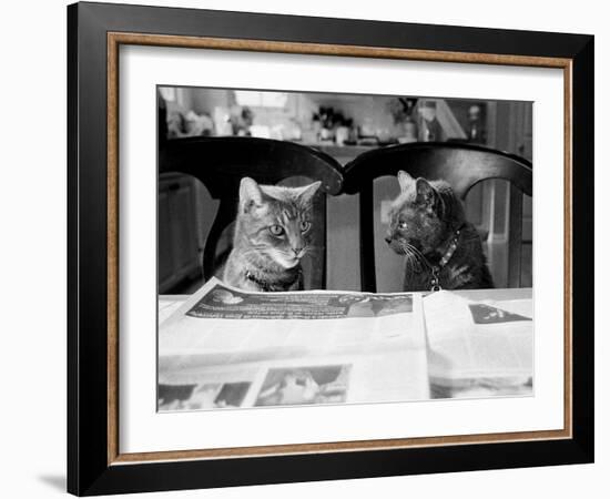 Not While I’m Reading-Kim Levin-Framed Photographic Print