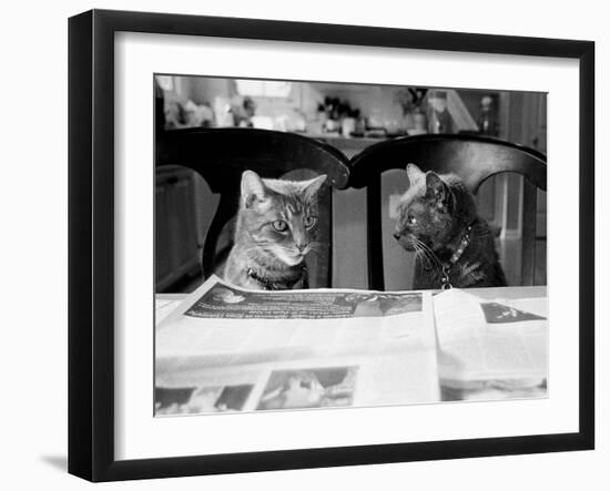 Not While I’m Reading-Kim Levin-Framed Photographic Print