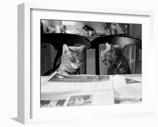 Not While I’m Reading-Kim Levin-Framed Photographic Print