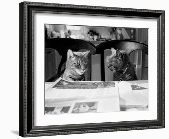 Not While I’m Reading-Kim Levin-Framed Photographic Print