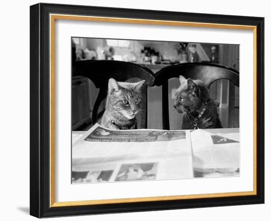 Not While I’m Reading-Kim Levin-Framed Photographic Print