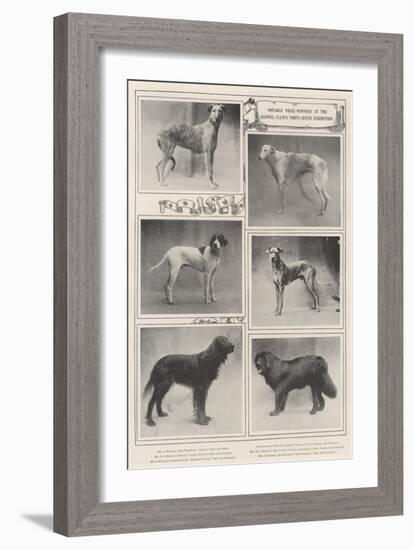 Notable Prize-Winners at the Kennel Club's Forty-Sixth Exhibition-null-Framed Giclee Print