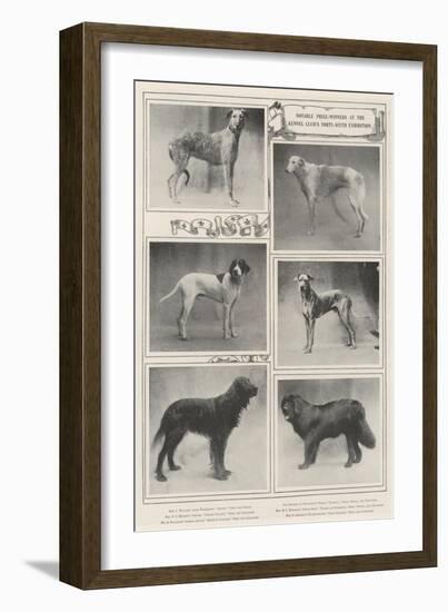 Notable Prize-Winners at the Kennel Club's Forty-Sixth Exhibition-null-Framed Giclee Print