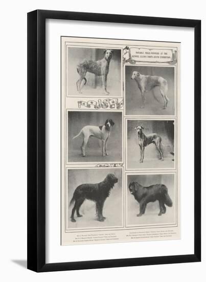 Notable Prize-Winners at the Kennel Club's Forty-Sixth Exhibition-null-Framed Giclee Print