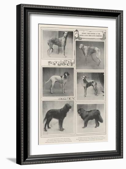 Notable Prize-Winners at the Kennel Club's Forty-Sixth Exhibition-null-Framed Giclee Print