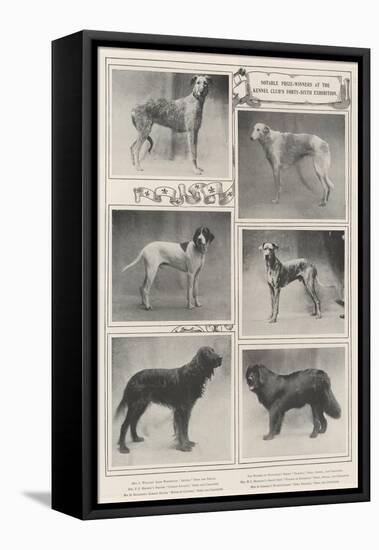 Notable Prize-Winners at the Kennel Club's Forty-Sixth Exhibition-null-Framed Premier Image Canvas