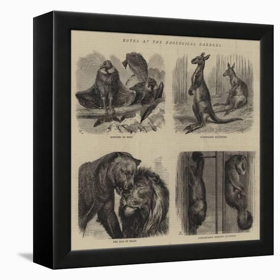 Notes at the Zoological Gardens-null-Framed Premier Image Canvas