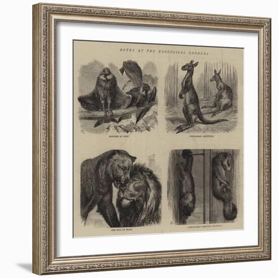 Notes at the Zoological Gardens-null-Framed Giclee Print