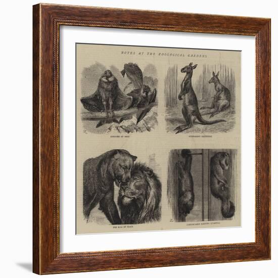 Notes at the Zoological Gardens-null-Framed Giclee Print