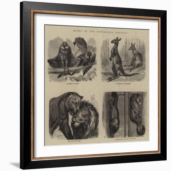 Notes at the Zoological Gardens-null-Framed Giclee Print