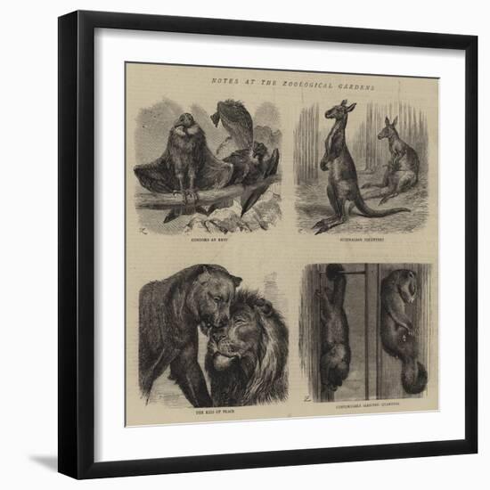 Notes at the Zoological Gardens-null-Framed Giclee Print