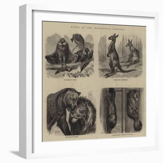 Notes at the Zoological Gardens-null-Framed Giclee Print