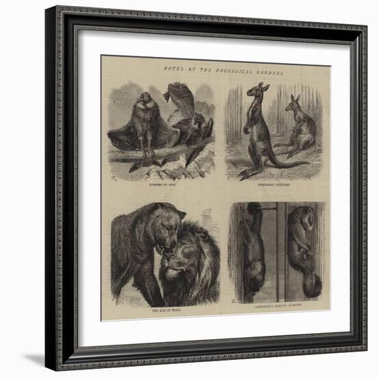 Notes at the Zoological Gardens--Framed Giclee Print