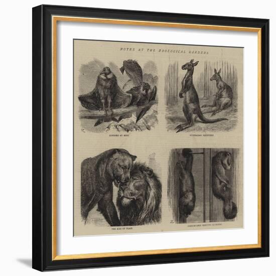 Notes at the Zoological Gardens-null-Framed Giclee Print