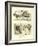 Notes by a Globe-Trotter in Rome-Phil May-Framed Giclee Print