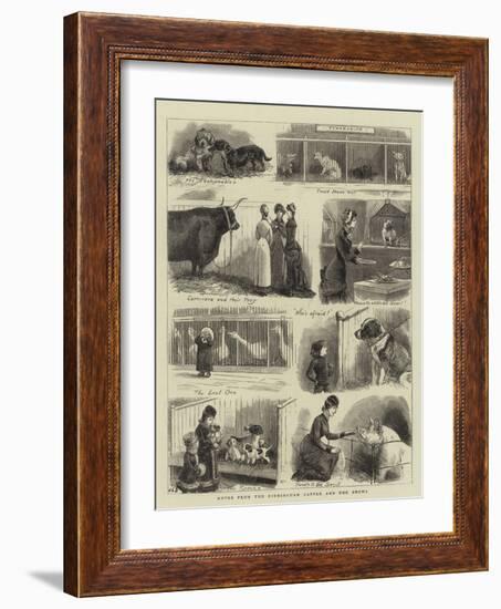Notes from the Birmingham Cattle and Dog Shows-John Charles Dollman-Framed Giclee Print