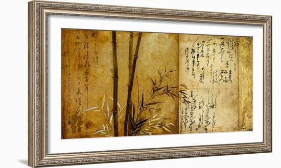 Notes From The Past II-Douglas-Framed Giclee Print